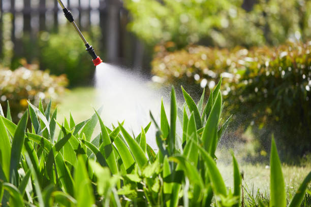 24/7 Emergency Mosquito Control experts in Pikeville, KY